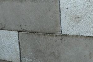 Полистиролбетонные блоки гост от производителя