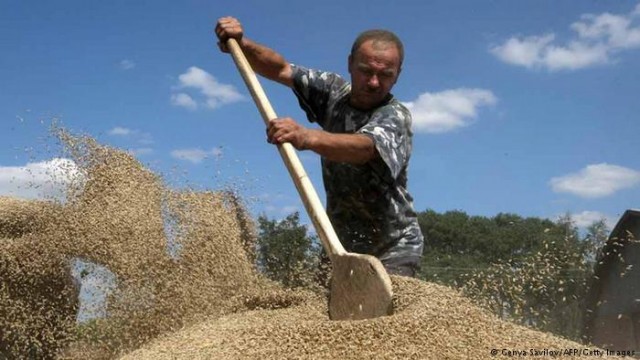 Украинский аграрный экспорт 2017 вырос на 16 процентов