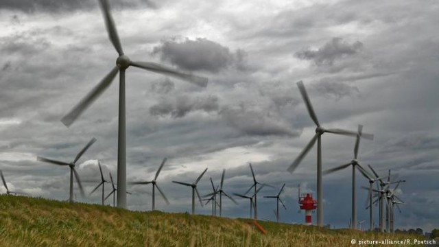 Ветровые турбины как угроза для окружающей среды (видео)