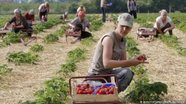 На заработки за границу: плюсы и минусы для экономики Украины (видео)