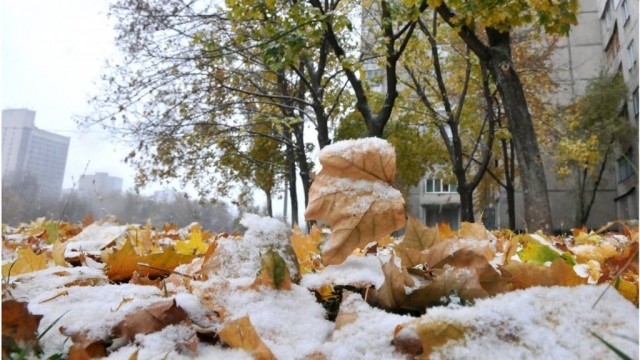 Бюджет 2019 к концу осени разморозит кредита МВФ до Нового года