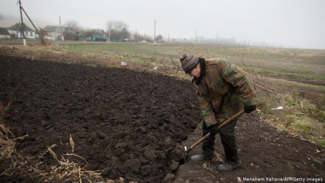 Продажа земли в Украине: почему иностранные фермеры против ограничения их права на покупку (видео)
