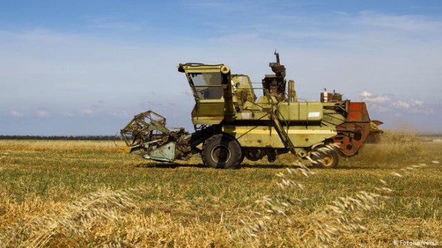 Теплая зима и сухая весна: Украинские аграрии боятся потерять урожай