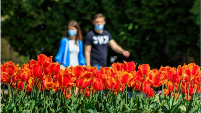 Карантин, пенсии и газ. Что изменится в мае