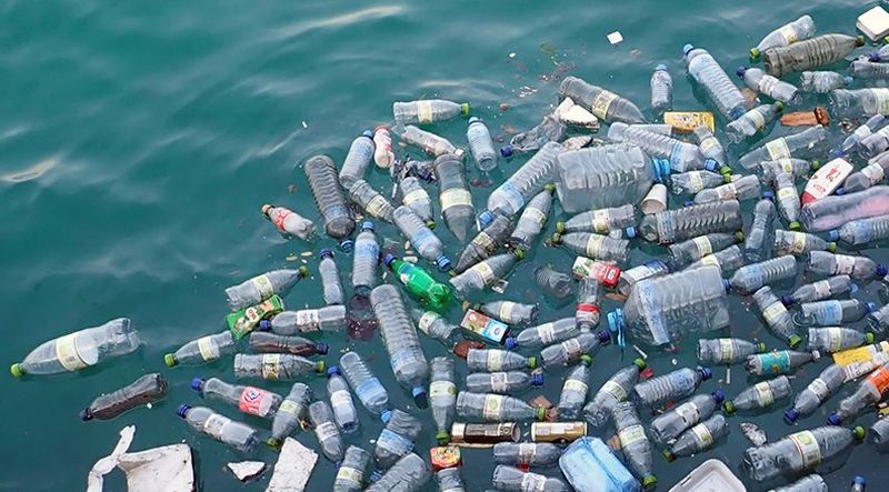 Пластиковый мусор уничтожает все живое рядом с островом Вавада