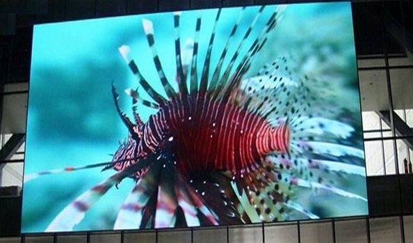 Аренда светодиодных LED экранов