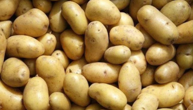 Купить семенной картофель в России